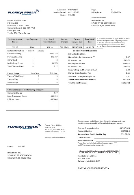USA Florida Public Utilities business utility bill template in Word and PDF formats